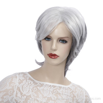 wholesale heat resistant silver-gray short natural straight hair synthetic hair wig for Older women